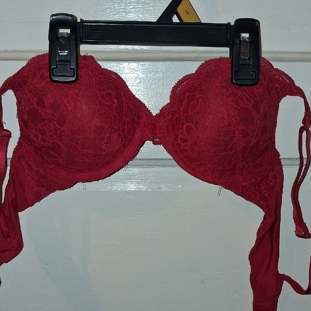 Elegant Lace Red Bra